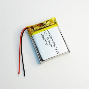 3.7V 450mAhリチウムポリマー電池FT602530P